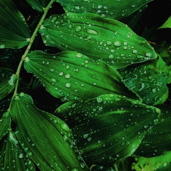 Meet your Posher, WaterOnMars - Picture 3 of 12